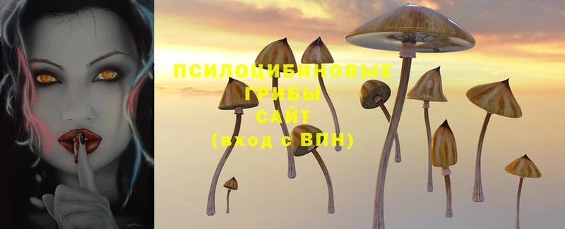 Галлюциногенные грибы Psilocybe  МЕГА как зайти  Давлеканово 